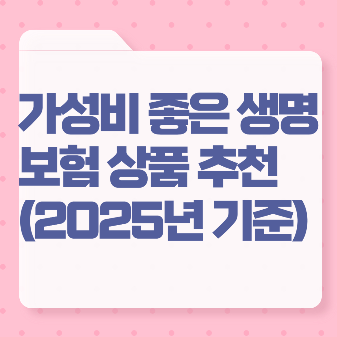 가성비 좋은 생명 보험 상품 추천