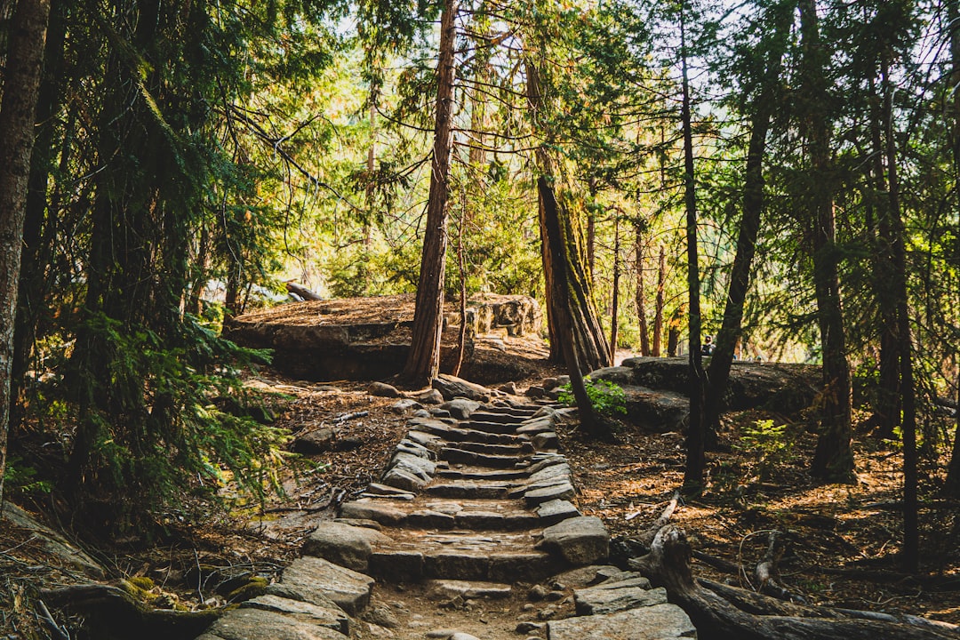 trail