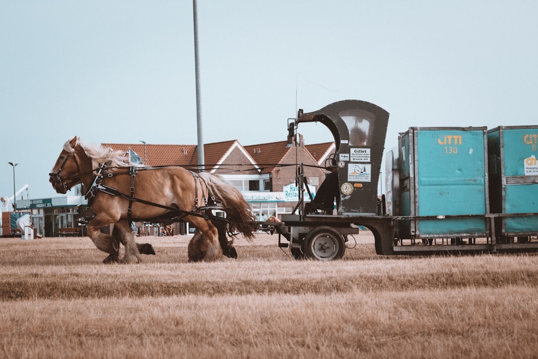 hauling