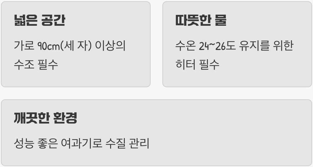 거인을 위한 넓고 따뜻한 집