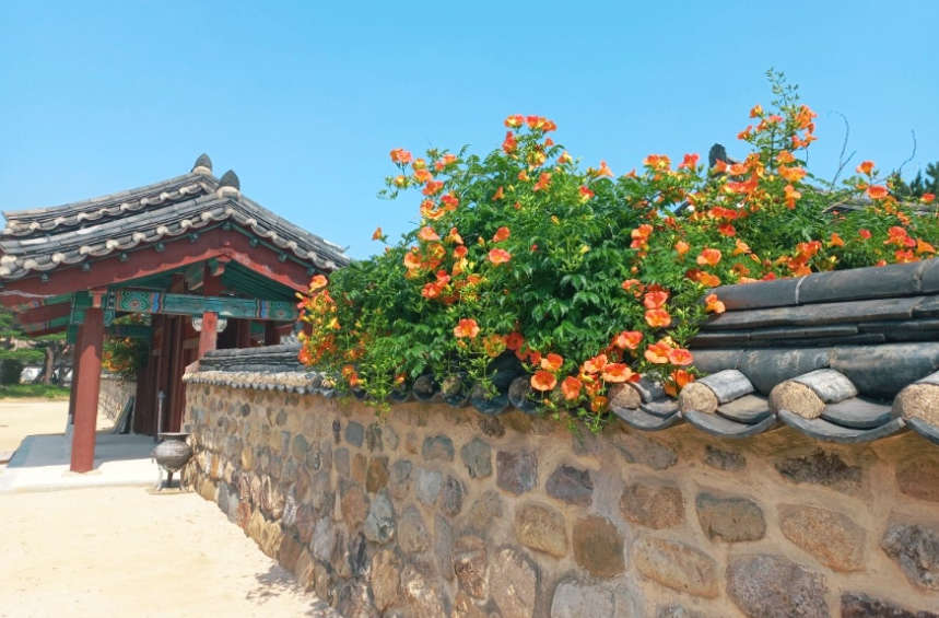 김해 수로왕릉 능소화