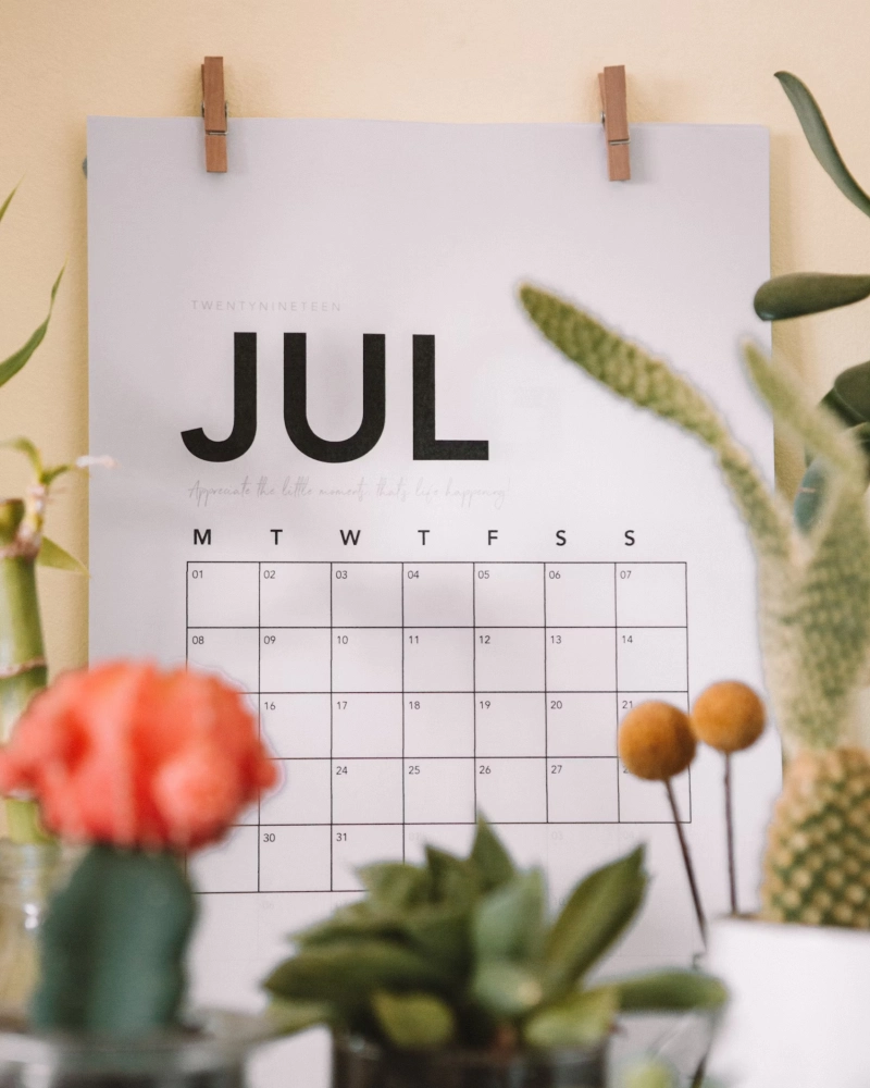 민생회복지원금 생년월일