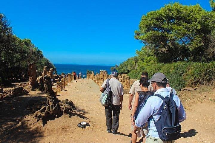 알제리 티파사의 고대 로마 유적지에서 관광객들이 돌기둥이 늘어선 길을 따라 걷고 있다. 양옆에는 울창한 나무와 붉은 흙길, 유적의 흔적들이 이어지며, 길 끝에는 푸른 바다가 보인다. 맑은 하늘과 자연이 조화를 이루는 고요한 풍경이다.
