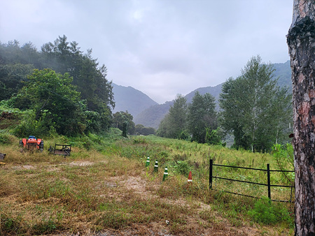 소노카페캠핑장_산