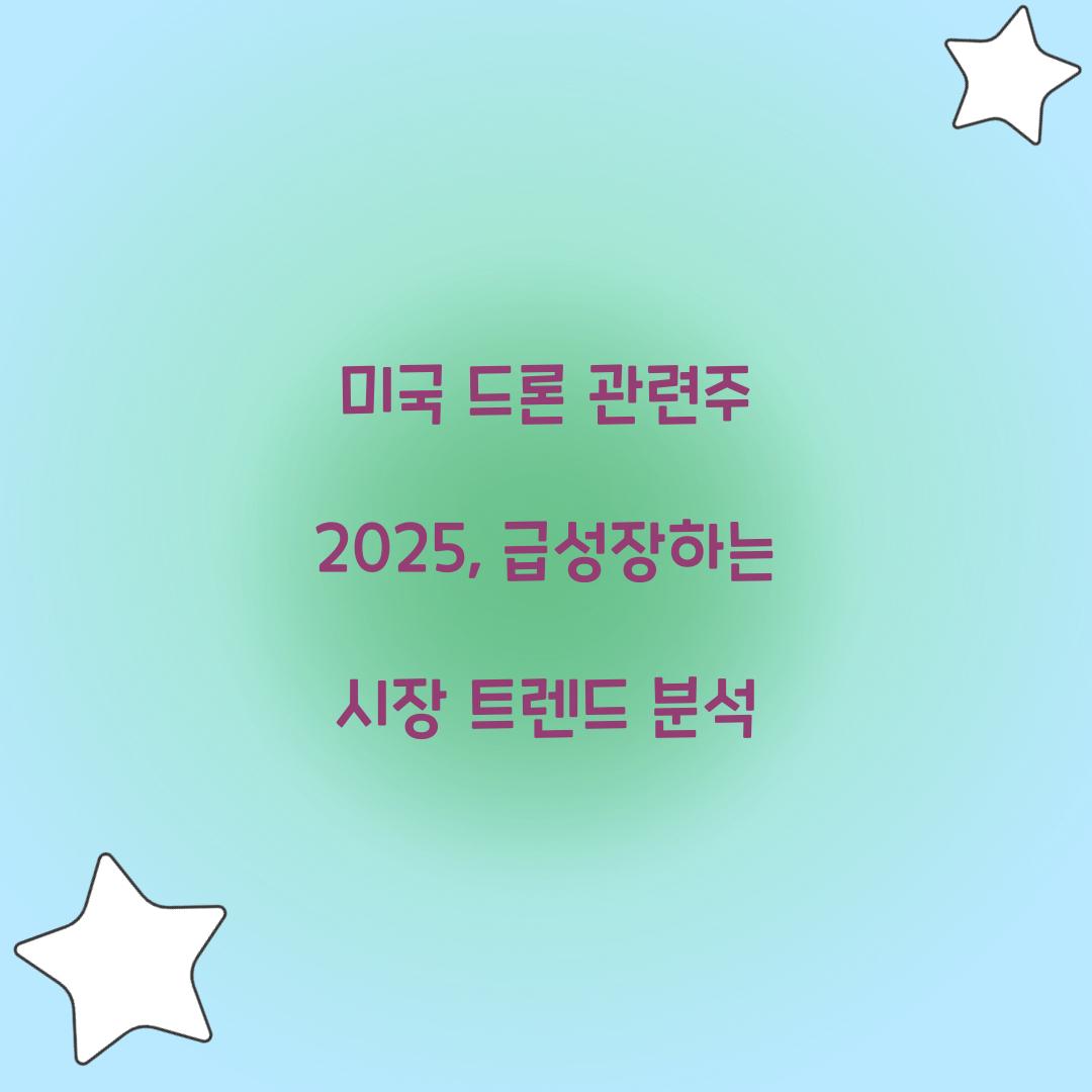 미국 드론 관련주 2025
