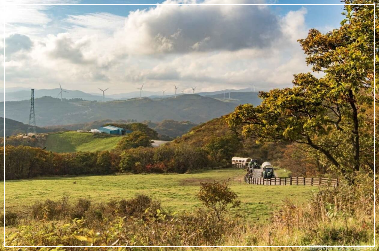 평창 가볼만한곳 베스트10 대관령 하늘목장