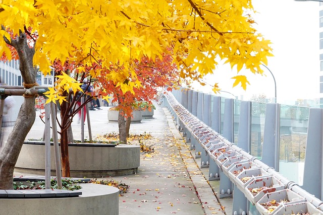 문화가 흐르는 서울광장: 2025년 행사 일정과 볼거리 총정리