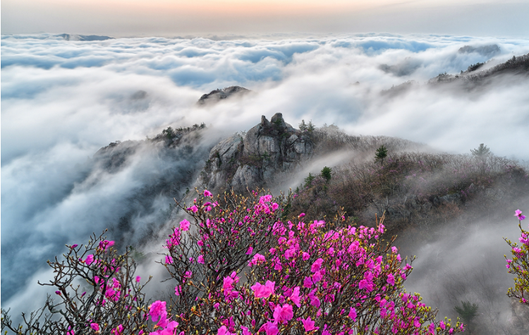 속리산 등산코스