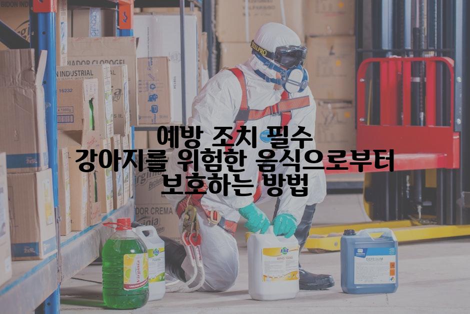 예방 조치 필수 강아지를 위험한 음식으로부터 보호하는 방법