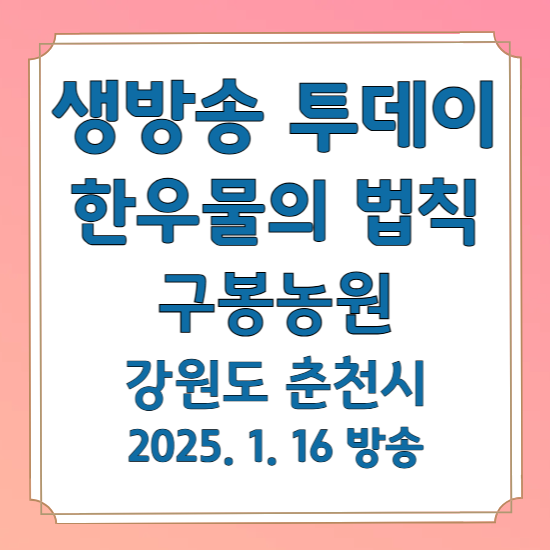 생방송 투데이 한우물의 법칙