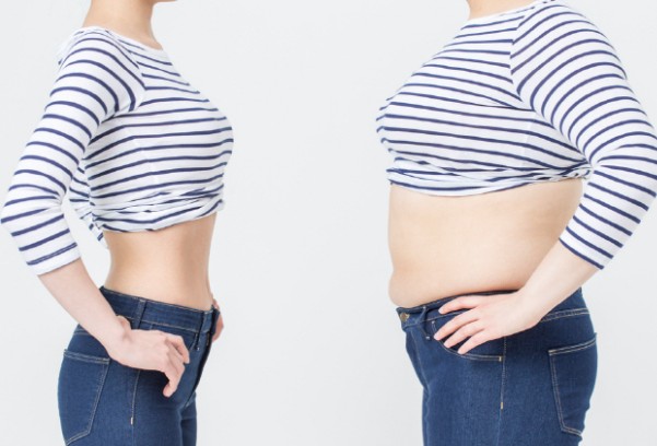 다이어트보조제 순위