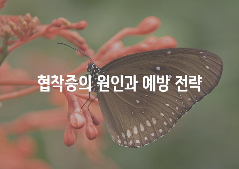 샘플 (51)
