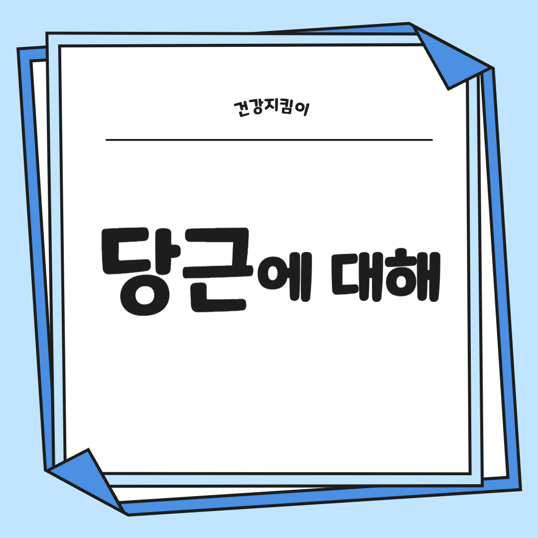 당근 효능 부작용 고르는법 칼로리