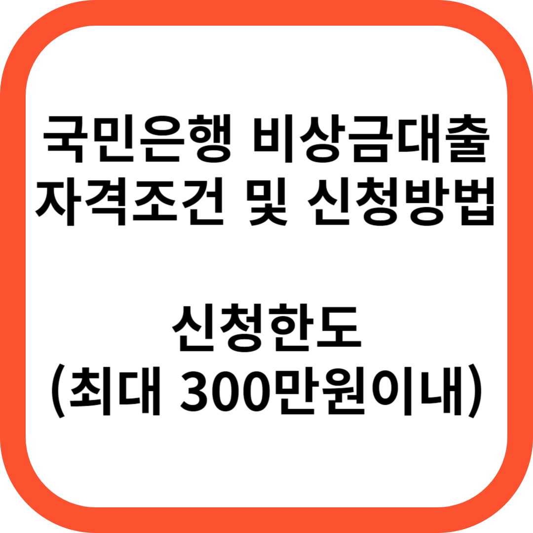 KB 국민은행 비상금대출