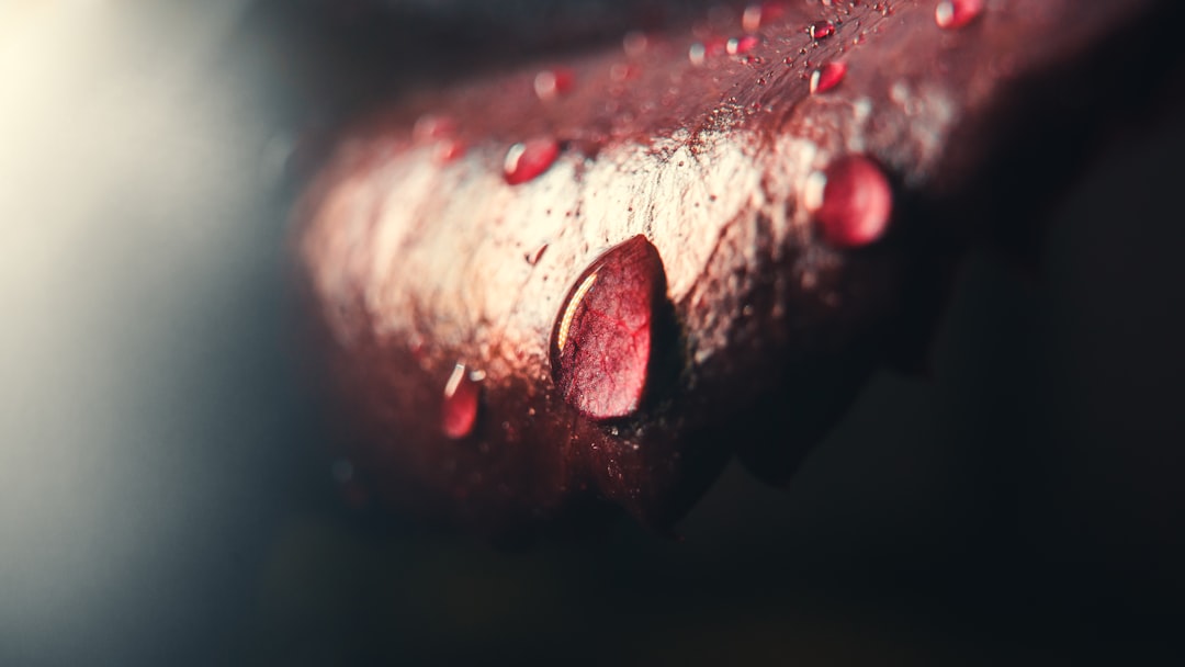 Blood type
