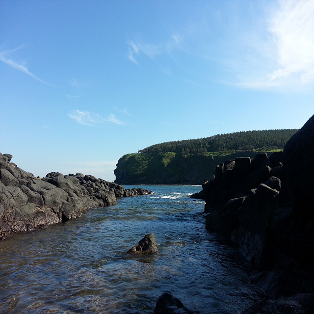 핑계고 아라찐빵 예약