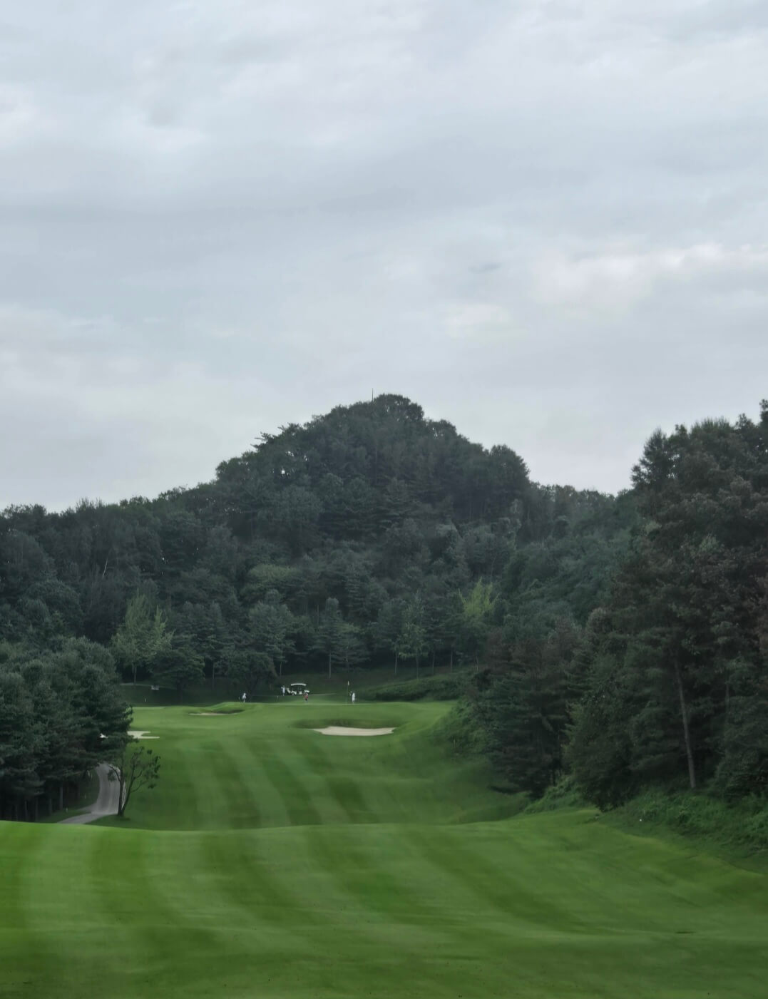 뉴서울CC 의 편안한 페어웨이