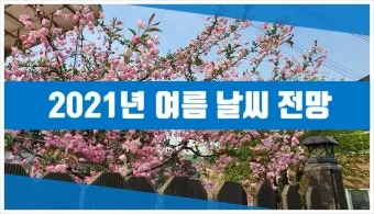 6월 날씨 전망 최신판 총정리_12