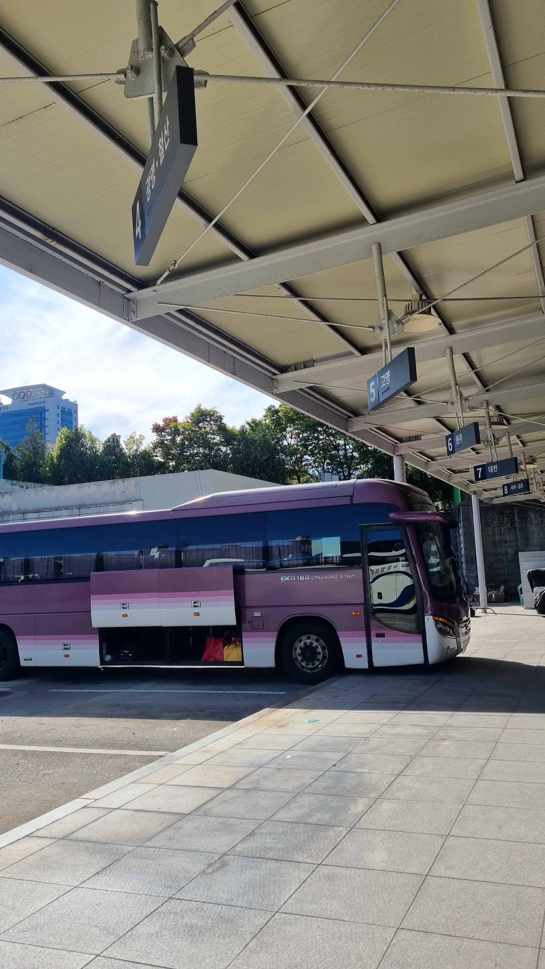 강릉 터미널 위치 택시 버스 예약 현장 구입 다이소 식당 맛집 휴게공간