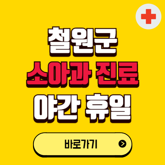 철원군 야간 소아과 진료병원 찾기 ❘ 24시 일요일 주말 연휴 응급진료 추천 잘하는 곳