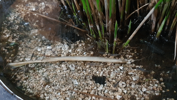 운암명가 부대찌개 인테리어