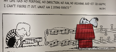 제주스누피가든