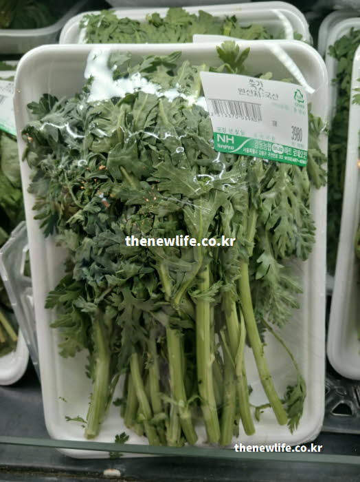 쑥갓의 효능을 생생하게 즐길 수 있는 신선한 쌈 채소 실사진