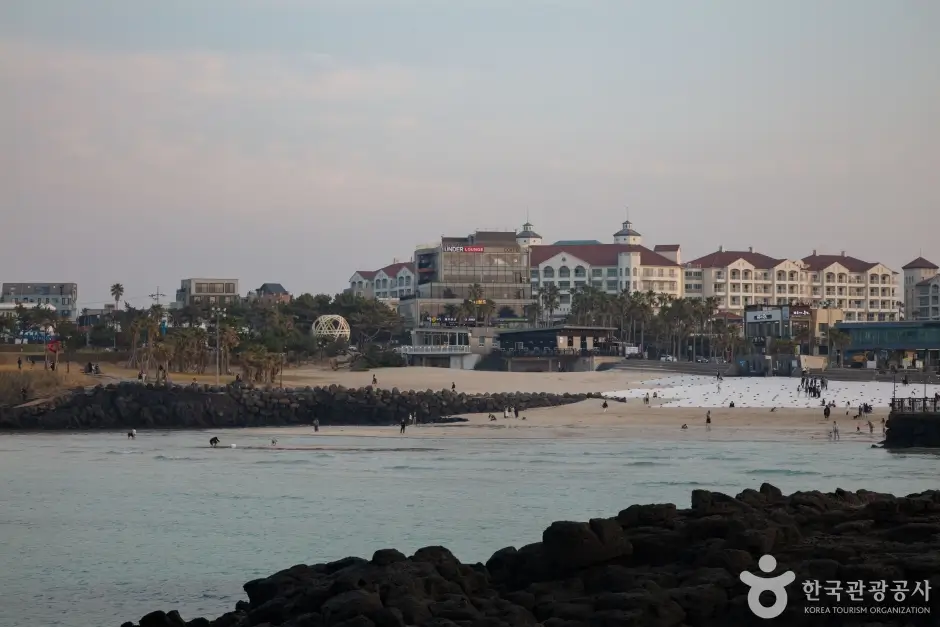 eea683c5-2492-4b54-9270-1db0aa690d8d