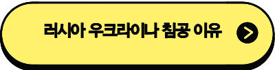러시아 우크라이나