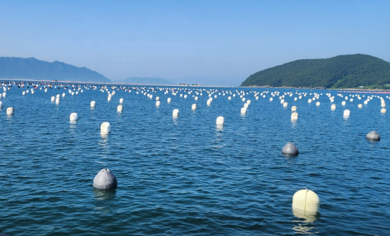 μ€λμ, κ²½λ¨ κ°λ¦¬λΉ/κ΅΄ μ μ² κ²½λ―Όμμ° μλ΄