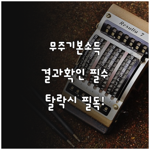 무주 기본소득 결과 조회 방법 및 부..