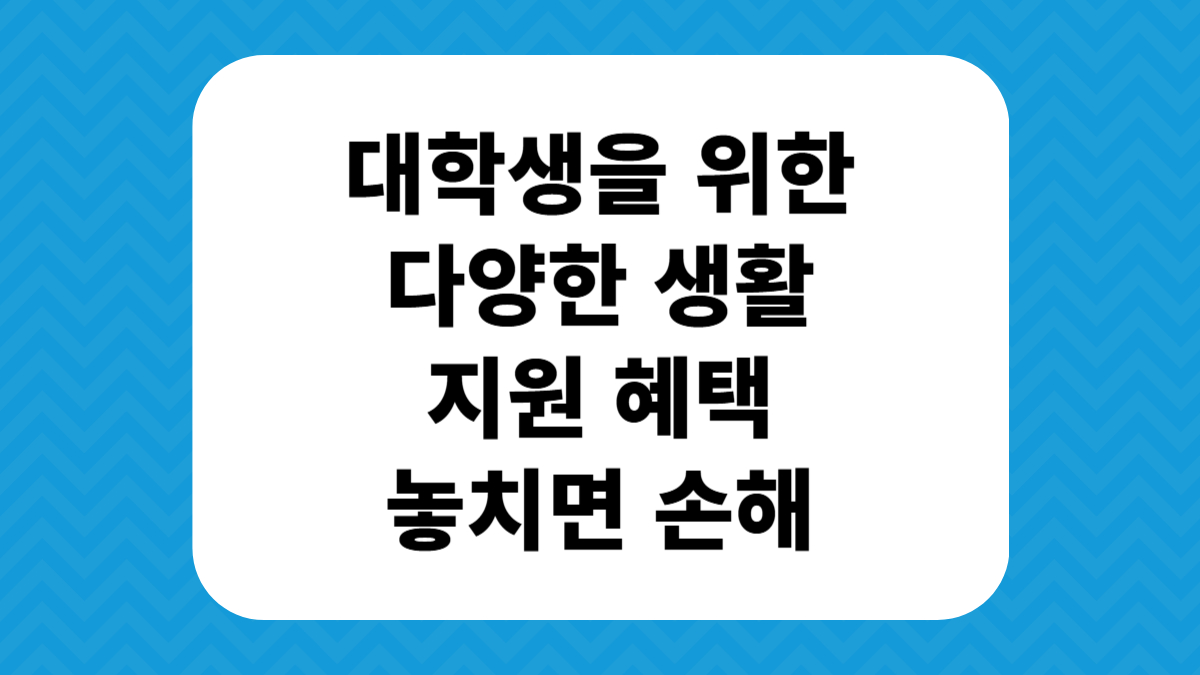 대학생을 위한 다양한 생활 지원 혜택 놓치면 손해