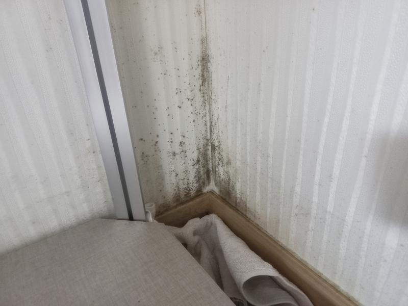 실내벽지 곰팡이 하단에 걸레 깔기