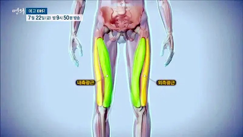 명의 수술 없이 무릎을 오래 쓸 마지막 기회 새 무릎으로 사는 법 치료법 정형외과 인용 교수, 재활의학과 이종인 교수