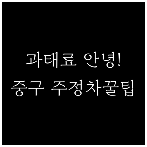 울산 중구 주정차 단속 문자 서비스 ..