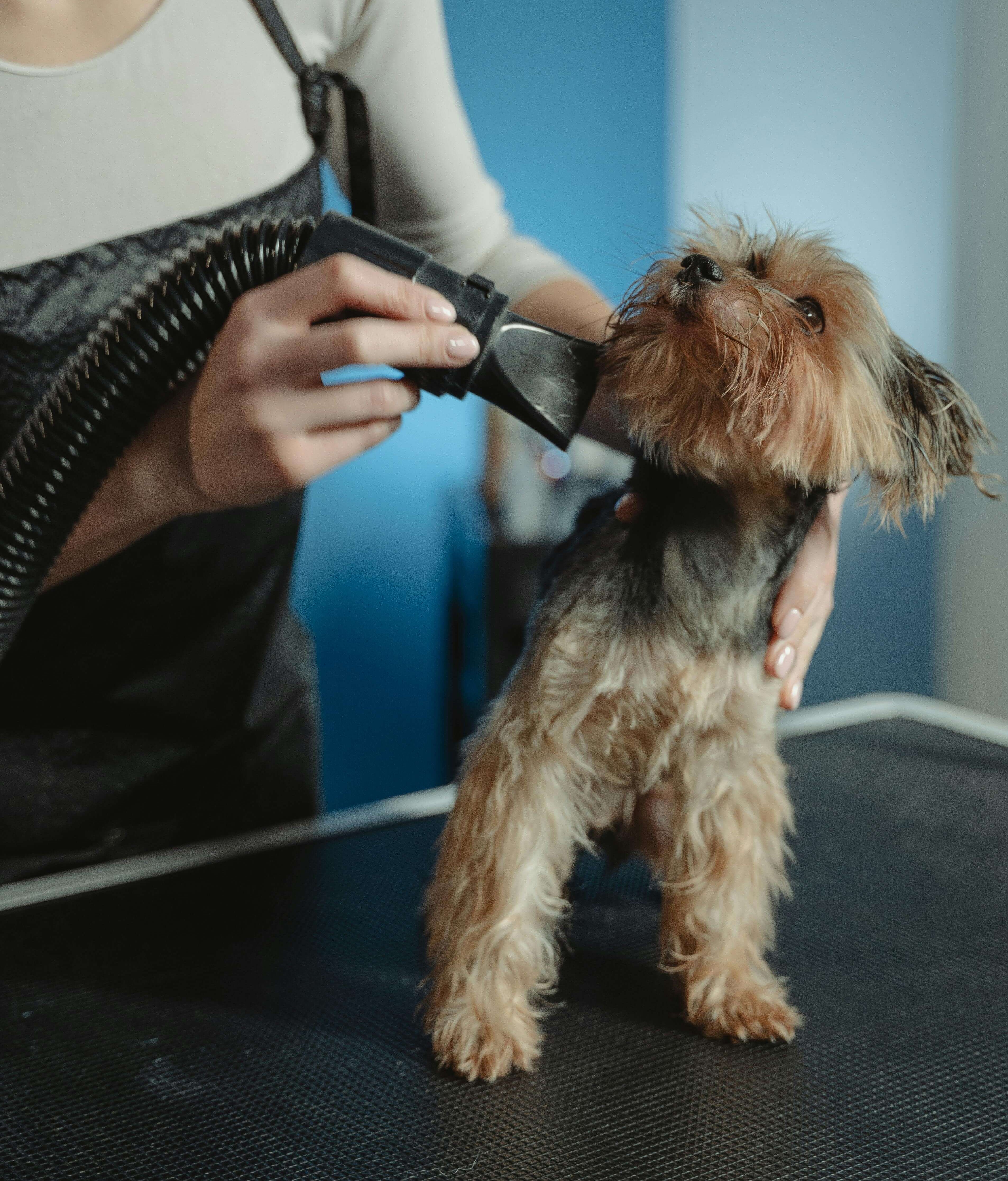 지원금이 잘 나오는 분야