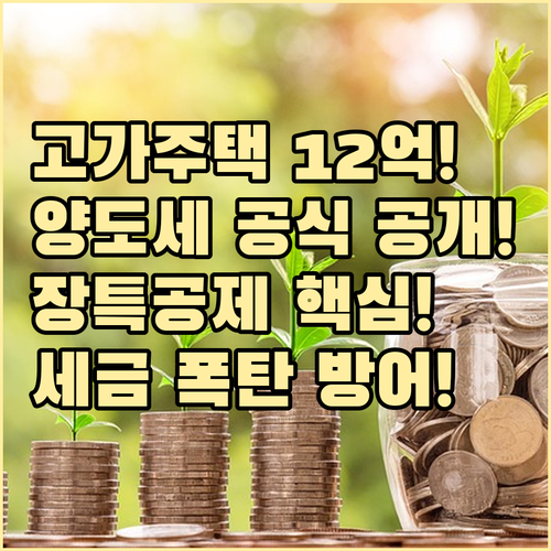 고가 주택 양도세 12억 초과분 과세..