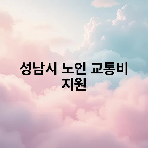 성남시 노인 교통비 지원