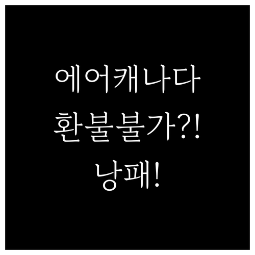 에어캐나다 베이직이코노미 취소 수수료..