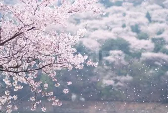 2025년 4월 달력 바탕화면 이미지 모음_1