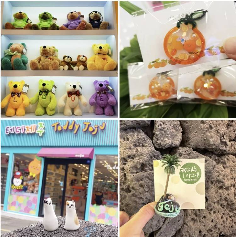 테디-제주-바이올레