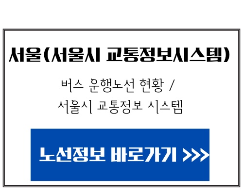 서울시 장애인 버스요금 지원 신청방법, 지원금액, 이용방법 안내