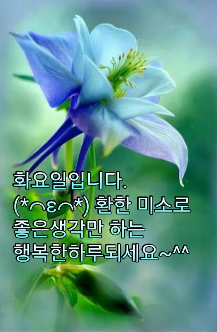 3. 화요일 인사말 7