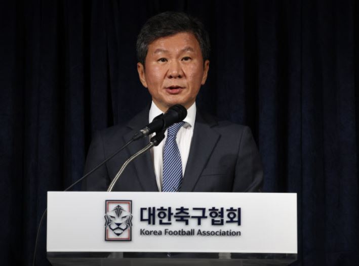 문체부 대한축구협회 감사 홍명보 대표팀 감독