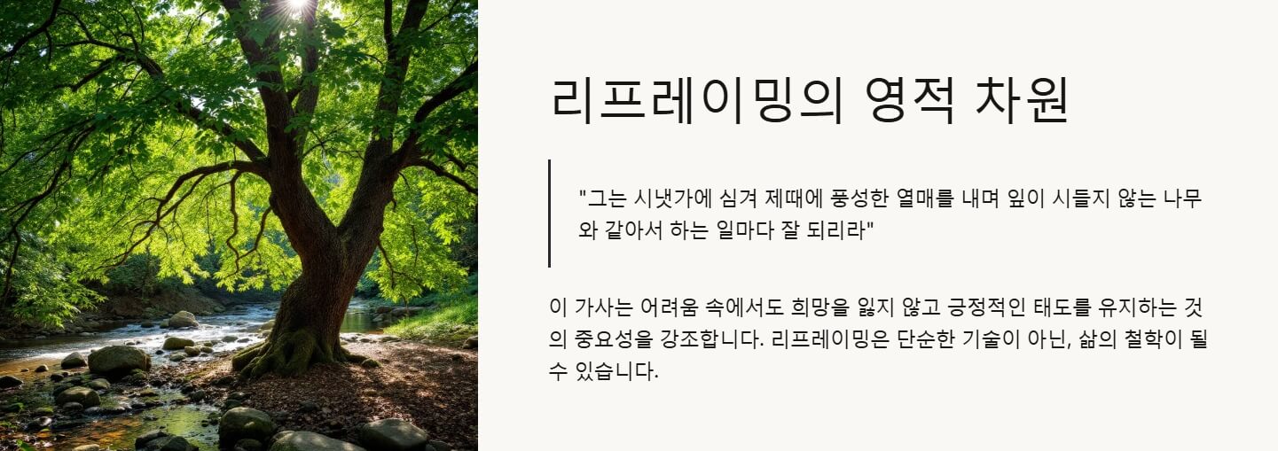 리프레이밍