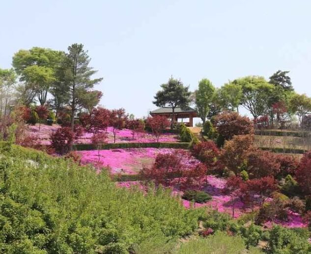 진안 가볼만한곳 베스트 10