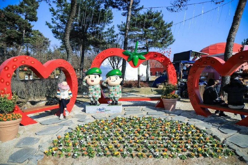 딸기 축제