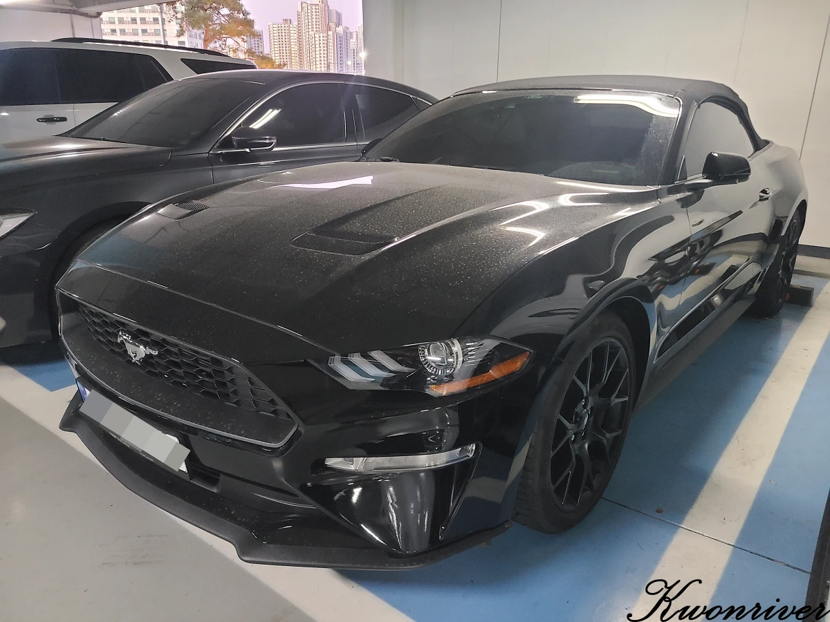 8기통-자동차-포드-머스탱