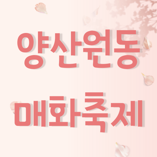 양산원동매화축제