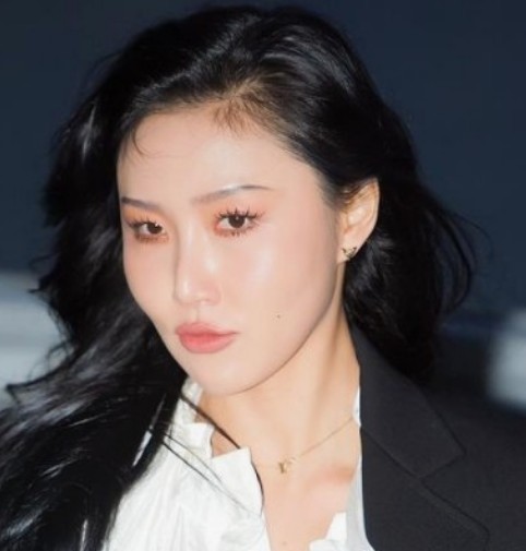 마마무 화사 금전 사기 피해